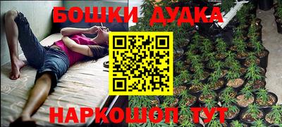 винт Дубна