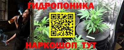 эйфоретик Донецк
