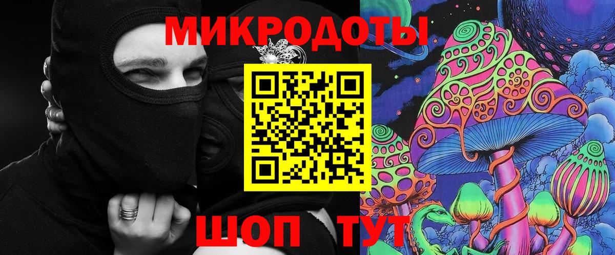 Галлюциногенные грибы Psilocybine cubensis Корсаков