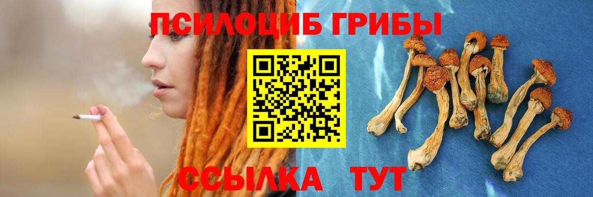 Галлюциногенные грибы GOLDEN TEACHER  Вход с VPN  купить закладку  Псилоцибиновые грибы Psilocybe  Корсаков 